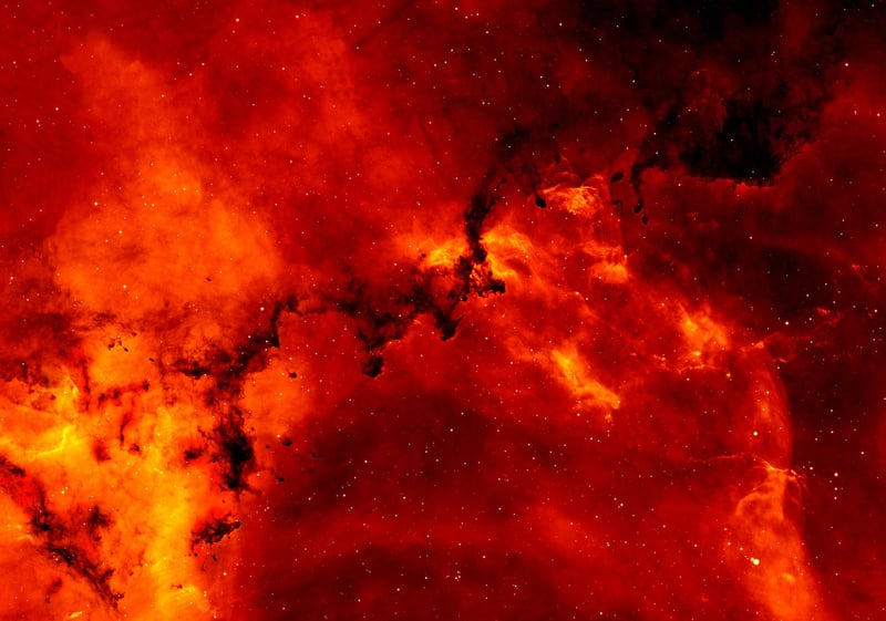 Cosmos